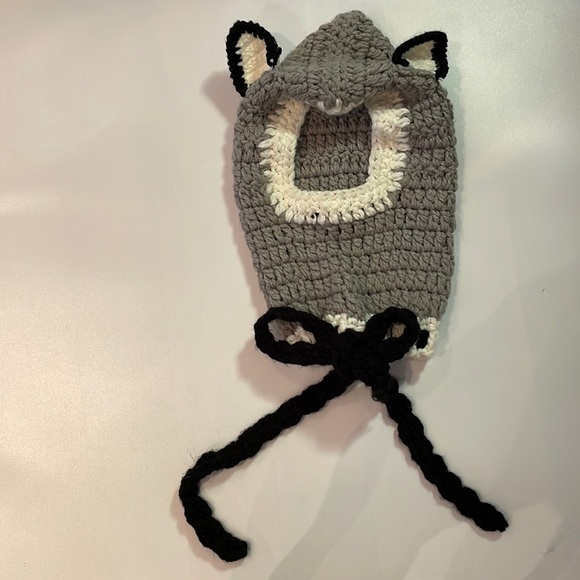 Super Cute Racoon Youth Winter Hat - Picture 2 of 3